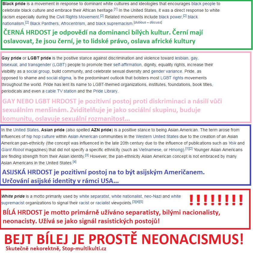 LGBT hrdost je v pořádku, bílá hrdost je neonacismus