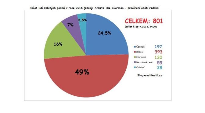 Černoši v USA protestují proti “bílému násilí”, nejvíce se však vraždí mezi sebou