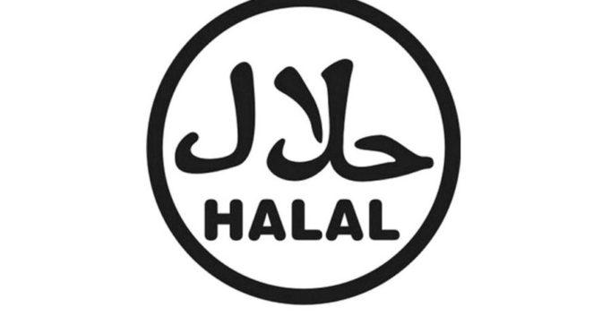 Zvířata při halal porážce umírají v agónii kvůli muslimské ignoraci omráčení, vydala univerzita Bristol