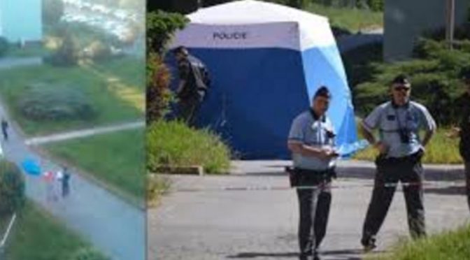 Oficiální policejní vyšetřování potvrdilo, že zastřelený Rom v Chomutově skutečně najížděl do lidí