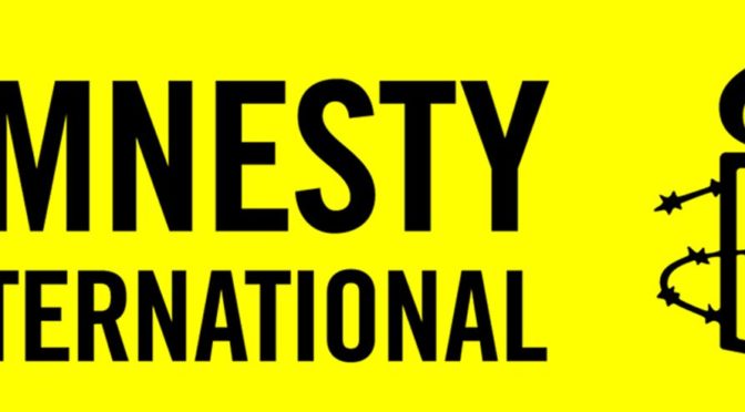 Amnesty International šíří poplašnou zprávu o ústavní novele o zbraních